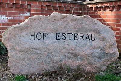 Hof Esterau - Appartment gelb