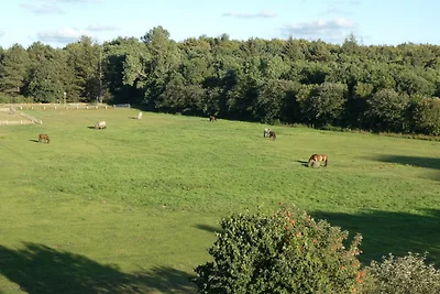 Quartier Hohe Geest 17 - Nord