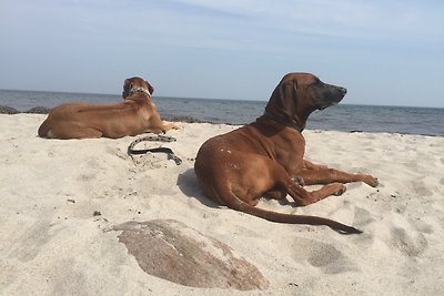 Ferienwohnung Strandgut