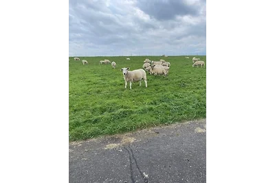 Landhaus Sonnenglück-freistehend