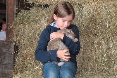 Ferienhof Westermann (Eulennest)