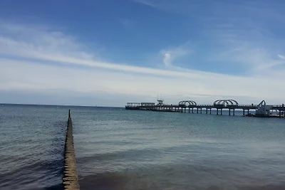 Ponykoppel (adult only bzw ab 16