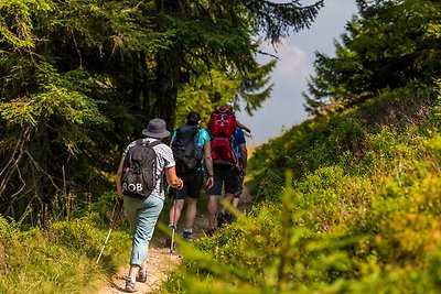 Vakantieappartement Gezinsvakantie Menzenschwand