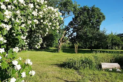 Casa vacanze Vacanza di relax Trent