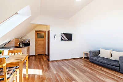 Sun&Snow Leśny Dom - Apartment