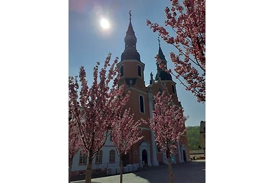 Appartamento Vacanza con famiglia Prüm