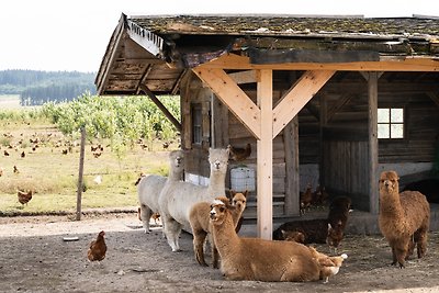 Vakantieappartement Gezinsvakantie Bräunlingen