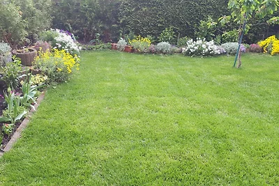 Wernigerode Ferienwohnung Schultz