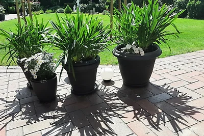 Vakantieappartement Gezinsvakantie Papenburg