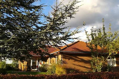 Vakantiehuis Ontspannende vakantie Hasselberg