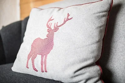 Vakantiehuis Ontspannende vakantie Eben am Achensee