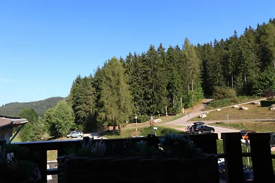 Vakantieappartement Gezinsvakantie Schluchsee