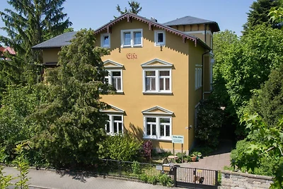 Apartment der Villa Elsa