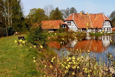 Ferienwohnung Mitreuter