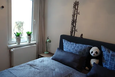 Barth-Tor zum Darss-Zingst B