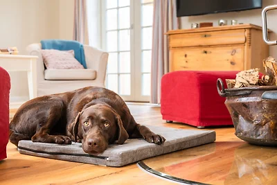 Casa vacanze Vacanza di relax Rabenholz