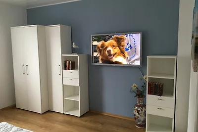 Vakantieappartement Gezinsvakantie Haren