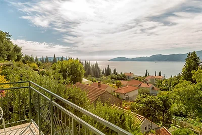 Blue Horizon Bird's Eye View