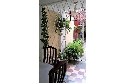 casa de omaris y cesar Appartement