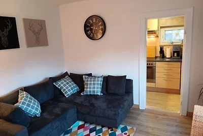 Apart Lachmöwe im Möwennest