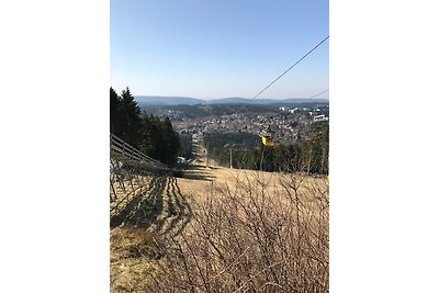 Vakantieappartement Gezinsvakantie Goslar