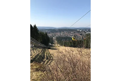 Vakantieappartement Gezinsvakantie Goslar