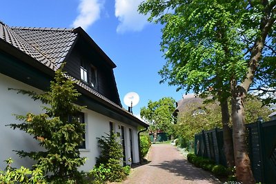 Ferienhaus "Kormoran" in Gross