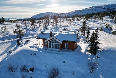 Vakantiehuis Ontspannende vakantie Vrådal