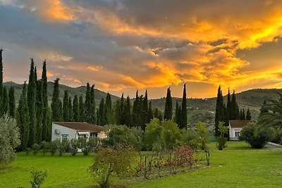 Casita Cacahuete