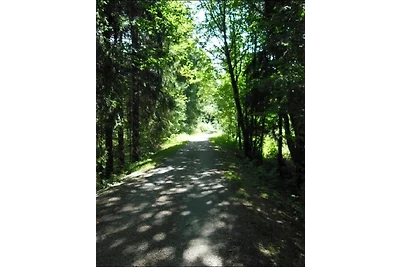 Appartamento Vacanza con famiglia Altreichenau