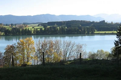 Ferienhaus Nr. 40, Kategorie