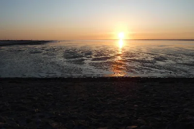 Vakantiehuis Ontspannende vakantie Neuharlingersiel