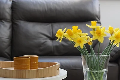 Schöne Höhe 600 FeWo Ausguck