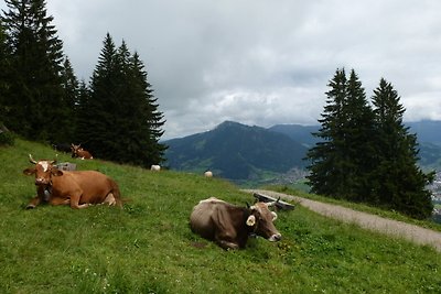 Vakantieappartement Gezinsvakantie Sonthofen