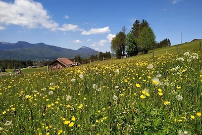 Appartamento Vacanza con famiglia Mittenwald