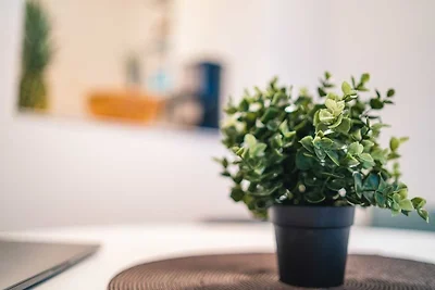 Appartamento Vacanza con famiglia Gera