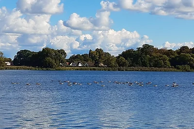 Hausboot, schwimmendes Ferienhaus