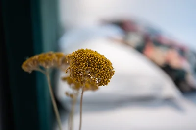 Heritage Vila malena