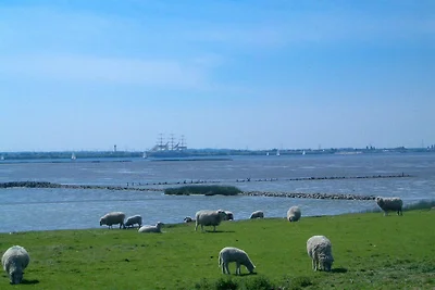 Vakantieappartement Gezinsvakantie Quickborn