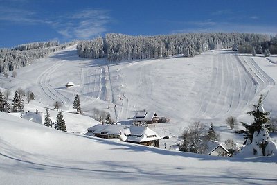 Ferienwohnung Todtnauberg in der