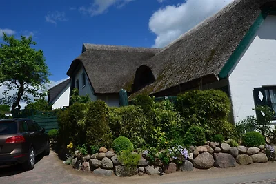 Reethaus 29b "Fischerhaus"