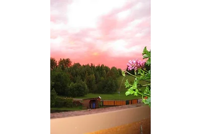 Appartamento Vacanza con famiglia Neureichenau