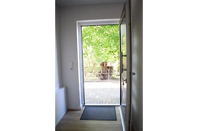 Lachmöwe, Haus an den Salzwiesen