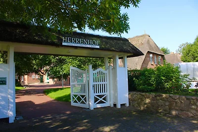 Appartamento Vacanza con famiglia Wrixum