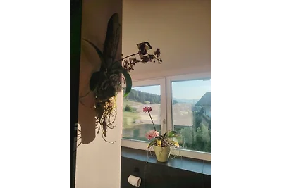 Suite Orchidee - SalzkammerNest