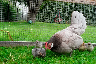 Ferienhof Manowski Nr.2