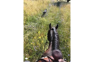 Apartament Dla rodzin Leutershausen