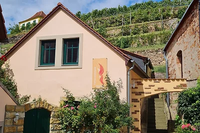 Holiday flat family holiday Meißen