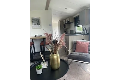 Nr. 88 Neues, ruhiges