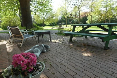 Vakantieappartement Gezinsvakantie Burg auf Fehmarn